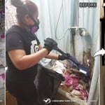 Feces Cleanup
