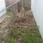 Spring/fall clean up