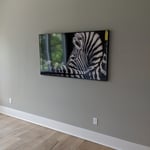 Distributed Video