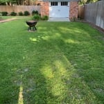 Mowing