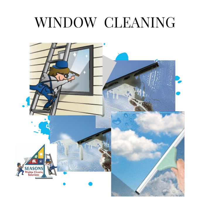 WINDOW CLEANING