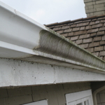 Gutter Cleaning