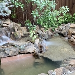 Patio pond deluxe