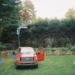 Hedge Trimming
