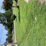 Other side of lawn