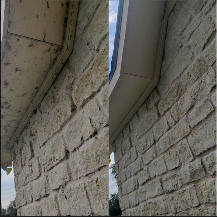 Before & After