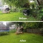 Before and After Photos