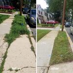 Before and After Photos