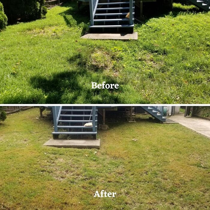Before and After Photos