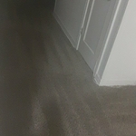 Our Work