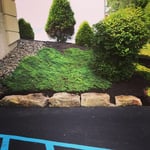 Mulch/trim/edge