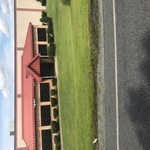 After hedge trim