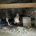 Home Inspection