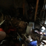 basement gut out