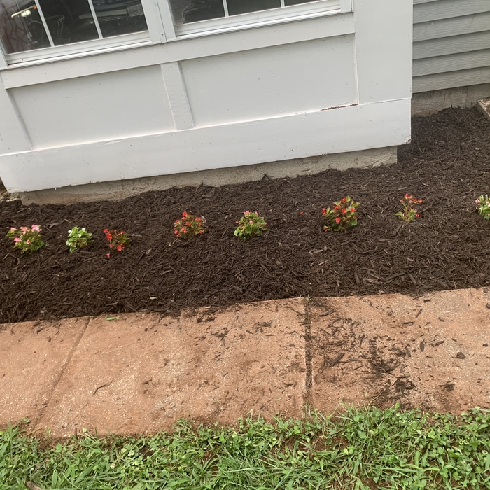 Fnew Landscpae design