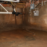 Basement Cleaning