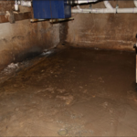 Basement Cleaning