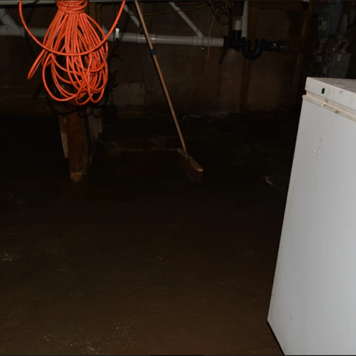 Basement Cleaning
