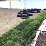 sod layout