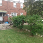 Bush Trimming w/Regular lawn care