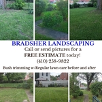 Bush Trimming w/Regular lawn care