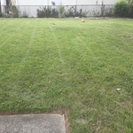 Bush Trimming w/Regular lawn care