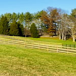 3-board oak paddock fence