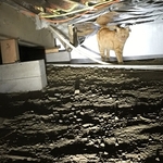 Crawl spaces are scary