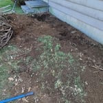 Removal of bushes
