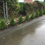 River rock wall