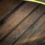 Flooring of Mold
