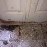 Mold