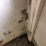 Mold