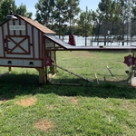 Chicken Coop
