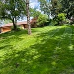 Lakeside Mow Trim Edge