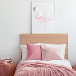 Playful Girl's room
