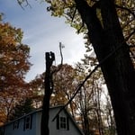 Hazardous tree removal over house