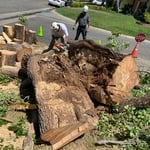 Emergency Work