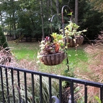 Pool side pots