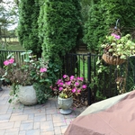 Flower pots