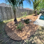 Backyard Landscape