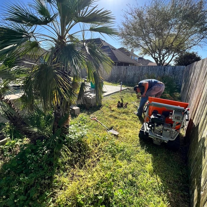 Backyard Landscape