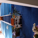 Vine church.marysville oh