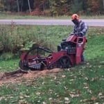 Residential stump grinding