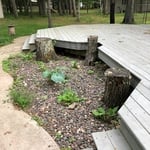 Near Deck Stump Grinding