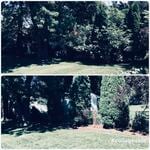 Fence cleanup