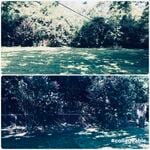 Fence cleanup