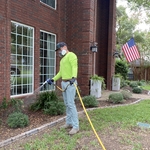 Exterior Treatment