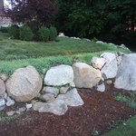 Yard Clean-out, install