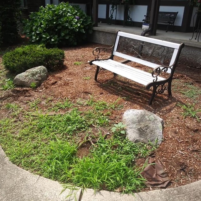 yard clean up